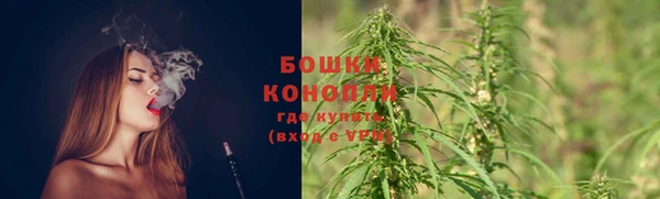 ПСИЛОЦИБИНОВЫЕ ГРИБЫ Балахна